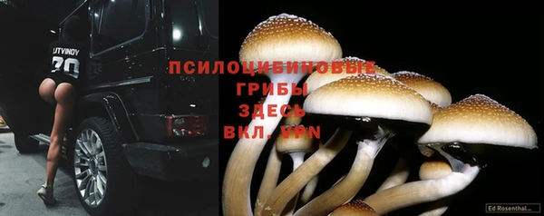 МДМА Арсеньев