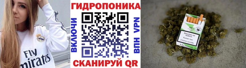 Шишки марихуана план Севск